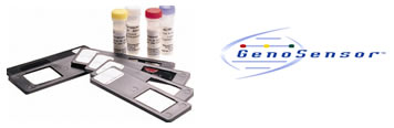 DNA Microarray